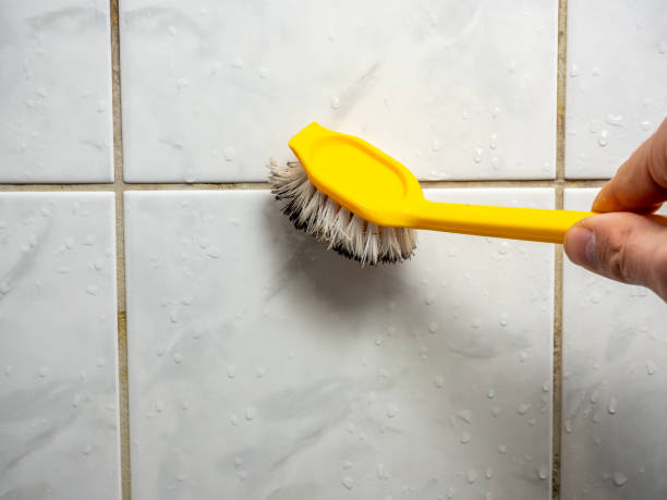 Best Commercial Mold Removal  in Rochester, NH