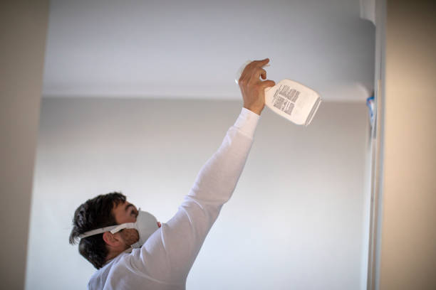 Mold Testing and Removal in Rochester, NH