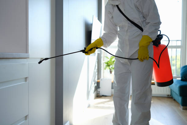 Best Crawl Space Mold Removal  in Rochester, NH